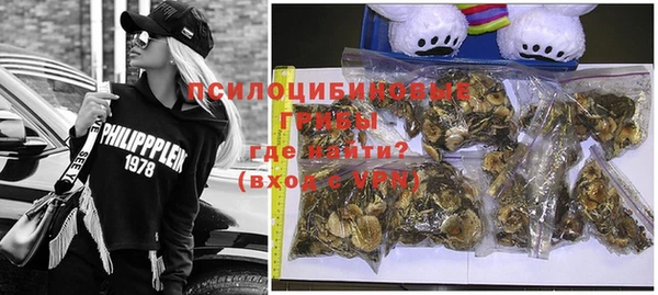 ПСИЛОЦИБИНОВЫЕ ГРИБЫ Богородск
