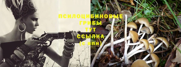 COCAINE Богданович