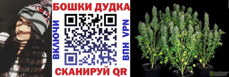 Конопля марихуана  как найти   Нерехта 